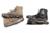 demo-brand-4